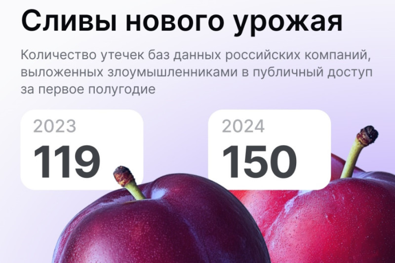 Эксперты F.A.С.С.T., российского разработчика технологий для борьбы с киберпреступлениями, назвали точное число баз данных российских компаний, впервые выложенных в публичный доступ в первом полугодии 2024 года — 150. Для сравнения: за аналогичный период прошлого года их было 119. Около 30% от общего числа утечек в 2024 году составили базы данных компаний, специализирующихся на розничной онлайн-торговле.