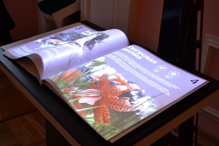 Интерактивная книга