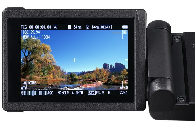AG-CX350-monitor