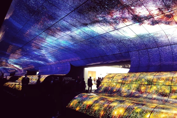 LG-OLED-Falls-CES-2019