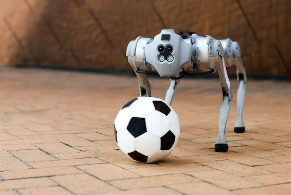 Исследователи из Массачусетского института научили четвероногого робота играть в футбол