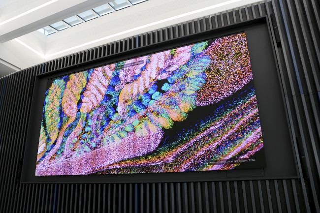 Светодиодная стена Leyard вдохновляет новое поколение ученых-биологов, фото-3