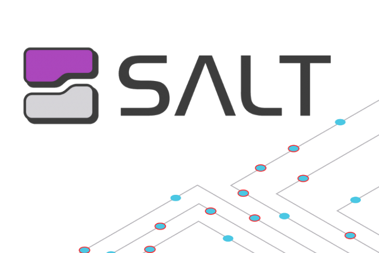 Selectel, провайдер облачных сервисов и услуг дата-центров, и Salt Security, компания-разработчик средств информационной безопасности, вывели на российский рынок уникальную платформу для защиты API.