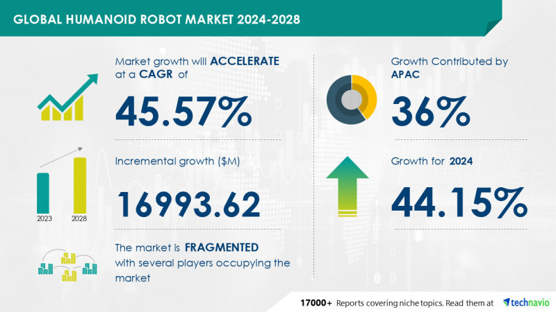 В период с 2024 по 2028 год объем рынка роботов-гуманоидов вырастет почти на 17 млрд долларов