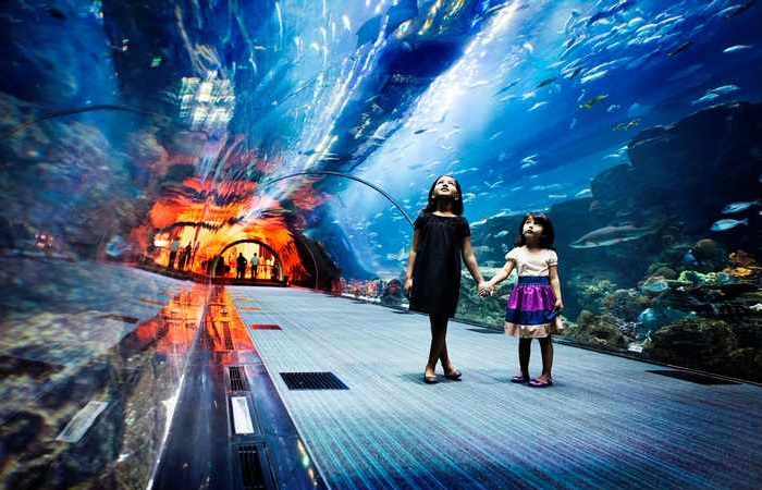 underwater-zoo-dubai