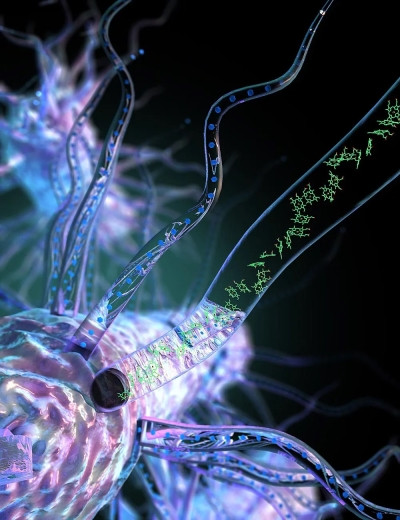бактерии Geobacter