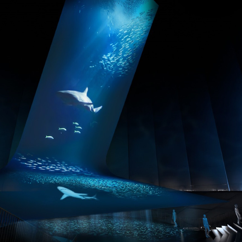 В выставочном зале Германии представлены захватывающие проекции океана