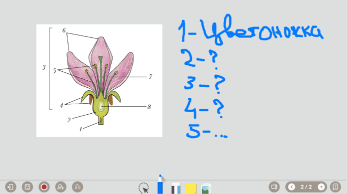 e534bc7f63256cd289aae0cc9dd6ca51.png