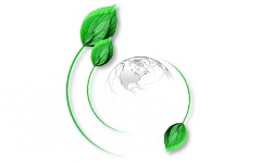 PA-Series-GreenVision