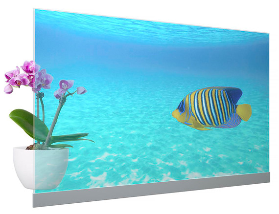 прозрачный OLED-дисплей с диагональю 55 дюймов