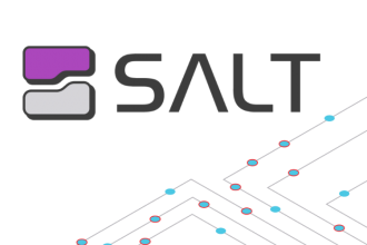 Selectel, провайдер облачных сервисов и услуг дата-центров, и Salt Security, компания-разработчик средств информационной безопасности, вывели на российский рынок уникальную платформу для защиты API.