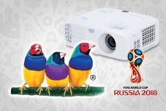 ViewSonic, ведущий мировой поставщик продуктов для визуального представления информации, в преддверии Чемпионата мира по футболу объявляет о конкурс «Угадай Чемпиона-2018» для сотрудников своих официальных партнеров в России - дистрибуторов и авторизованных партнеров.