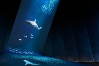Австрийский культурный, образовательный и научный институт Ars Electronica спроектировал проекцию рыб, водорослей и китов на стену и горизонтальный полупрозрачный холст в бывшем газгольдере, переделанном в выставочное пространство в Оберхаузене, Германия.