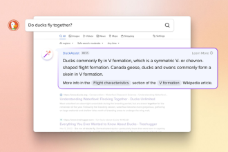 Компания DuckDuckGo Inc. запустила DuckAssist - новую функцию в своей поисковой системе, которая генерирует ответы на вопросы пользователей на естественном языке.