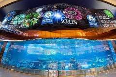 Установлен рекордный OLED светодиодный экран над Дубайским аквариумом и подводным зоопарком, который удостоился трех титулов рекордов Гиннеса.
