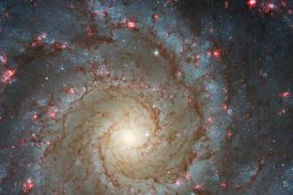 На этом потрясающем изображении, полученном НАСА с телескопа Хаббл, показаны рукава спиральной галактики M74, усеянные радужно-розовыми областями нового звездообразования. M74, также известная как Галактика-призрак, находится примерно в 32 миллионах световых лет от Земли в созвездии Рыб.