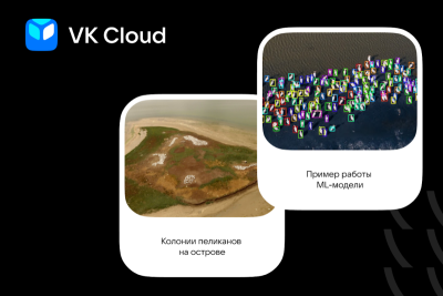 Группа ученых и ИТ-специалистов разработала на платформе VK Cloud нейросеть для программы «Сохранение кудрявого и розового пеликанов». Модель помогает мониторить гнездовые колонии, сезонные и кормовые скопления краснокнижных пеликанов, в том числе за пределами заповедников. Технологии позволили автоматизировать процесс и ускорить подсчет численности особей с 7 дней до 30 миллисекунд. Проект реализован в рамках программы VK по поддержке стартапов.
