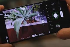 Хотя корпорация Apple удерживает более 50% японского рынка смартфонов, компании Sony и Sharp продолжают вкладывать силы и средства в собственные разработки мобильных устройств.
