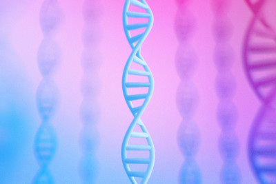 Компания Google DeepMind представила AlphaGenome — новый инструмент искусственного интеллекта, который может комплексно предсказывать, как мутации или вариации в последовательностях ДНК влияют на регуляцию генов человека.
