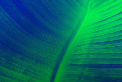 SAP SE провела исследование «Improving the Environment at Planetary Scale: A Survey of Business Drivers and Actions». В нем приняли участие 7400 руководителей компаний из 19 стран и 16 отраслей промышленности. Были проанализированы шаги, которые предпринимает бизнес для сохранения окружающей среды, а также проблемы, возникающие в процессе работы в этом направлении. Исследование будет обсуждаться на виртуальном Саммите SAP по устойчивому развитию, который пройдет 28-29 апреля. На нем планируется сфокусироваться на том, как компании снижают негативное воздействие на окружающую среду и продуктивно управляют ограниченными ресурсами, сохраняя при этом целостный подход к бизнесу и отчетности.