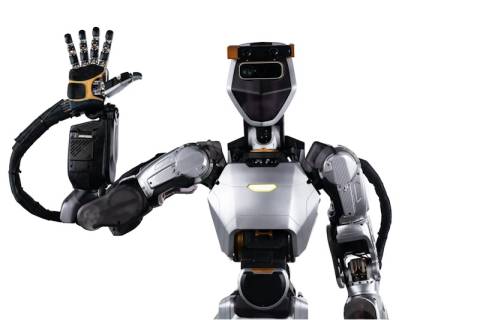 Новый человекоподобный робот от Sanctuary AI может обучаться заданиям за 24 часа
