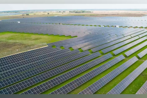 Пищевой гигант Nestlé инвестирует в солнечную энергетику