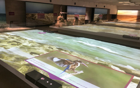 Digital Projection помог музею Хабитат из Кувейта