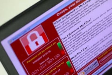 Varonis: в октябре 43% кибератак были осуществлены с помощью программ-вымогателей