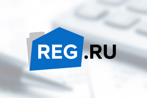 Компания REG.RU вошла в состав РУ-ВЕБ.ИНВЕСТИЦИИ